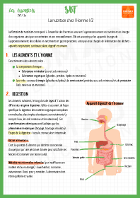 Image d'illustration
