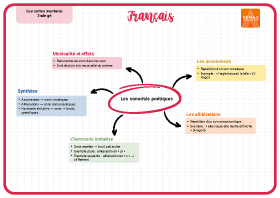 Image d'illustration