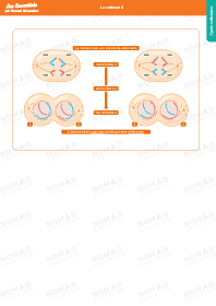 Image d'illustration