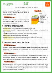 Image d'illustration