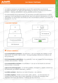 Image d'illustration