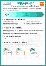 Image d'illustration