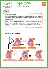 Image d'illustration