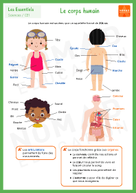 Image d'illustration