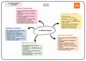 Image d'illustration