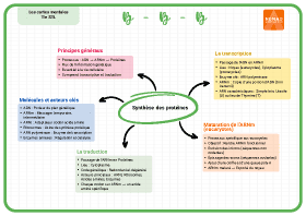 Image d'illustration