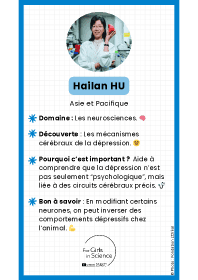 Image d'illustration