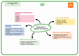 Image d'illustration