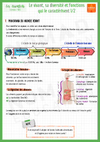 Image d'illustration