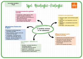 Image d'illustration