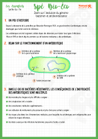 Image d'illustration