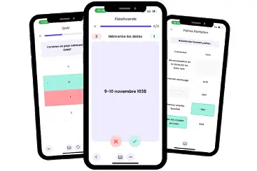 Flashcard et quiz du bac