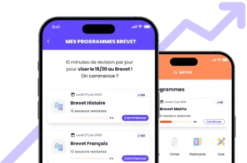 Programmes de revisions sur l'application